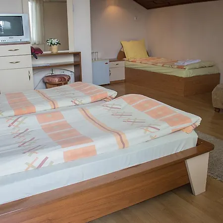 Vikoni Family Hotel 3*